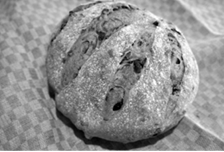 Round loaf of cranberry pecan peasant bread, slashed and dusted with flour