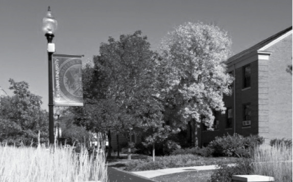 Photo of NPU