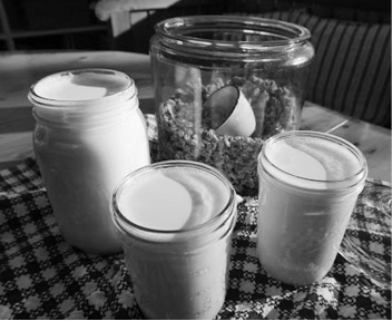Yoghurt in jars